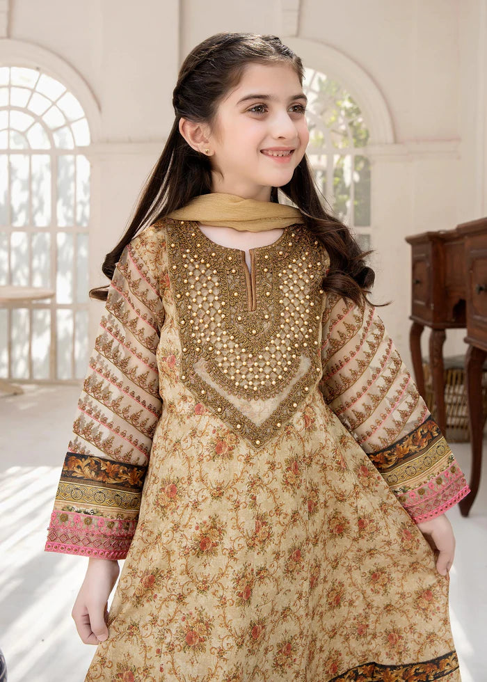 pakistani girls lawn suit