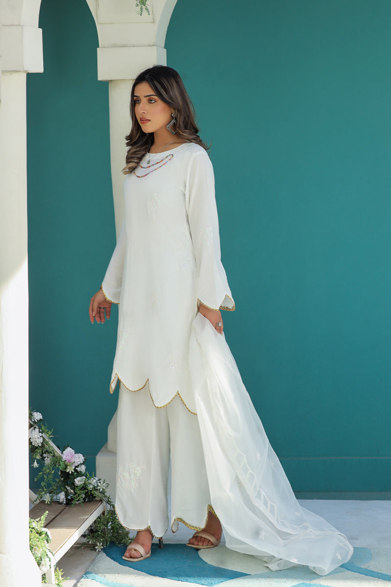 Embroidered 3 Piece Eid Co-ord Set With Net Dupatta White - Desi Posh
