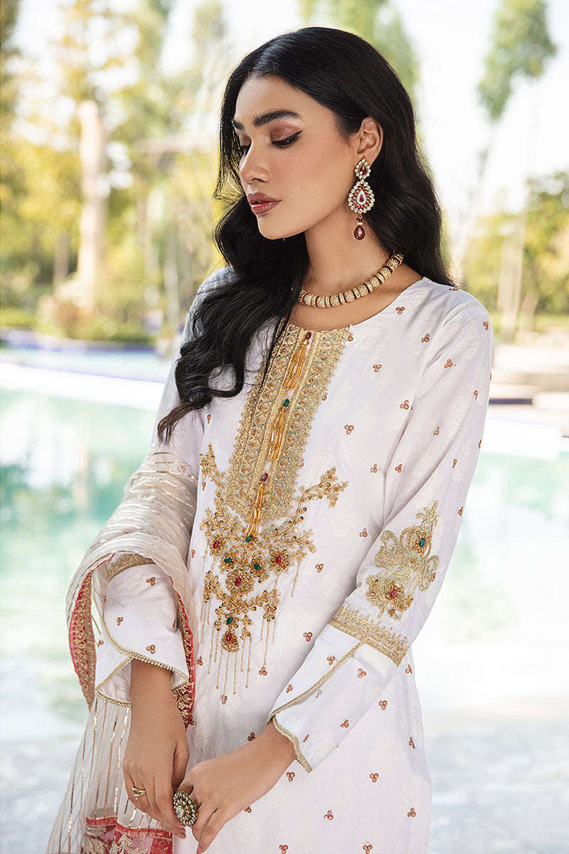 ladies nikah suit