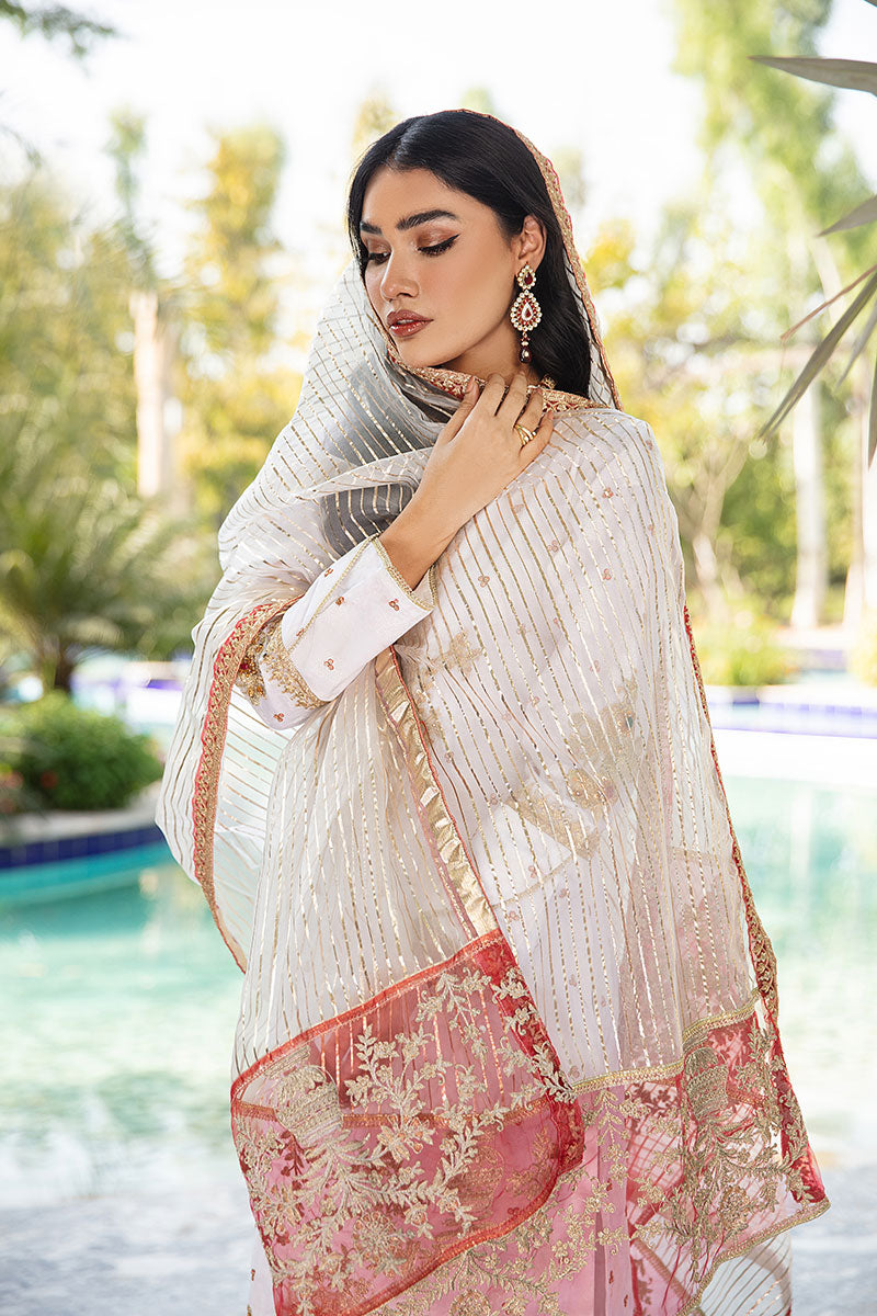 pakistani net dupatta