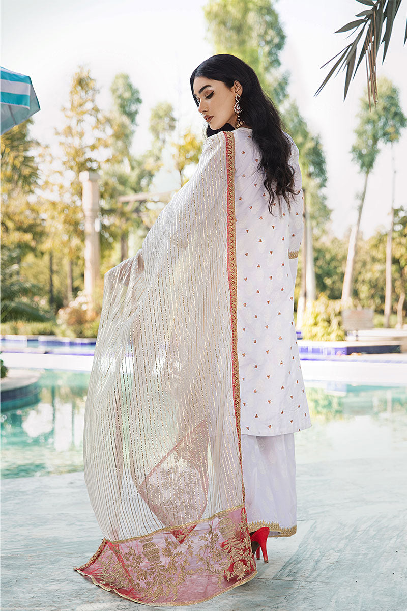 indian nikah suit
