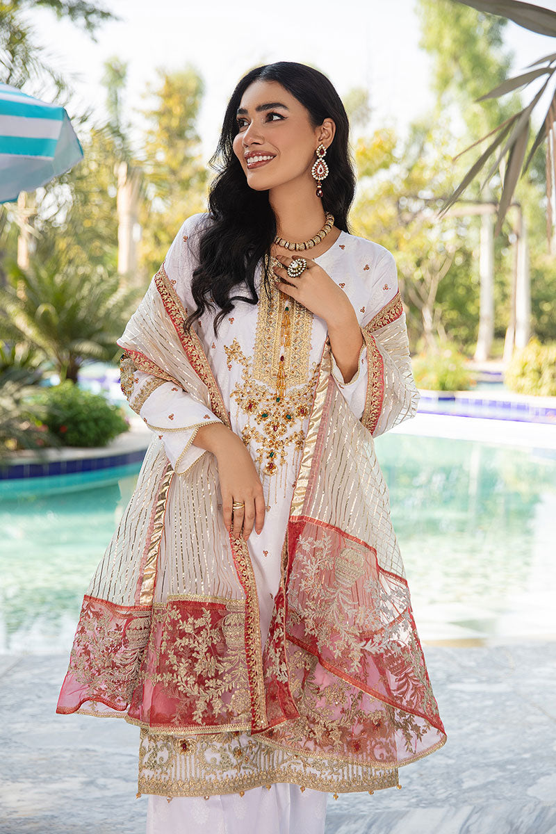 embroidered net dupatta