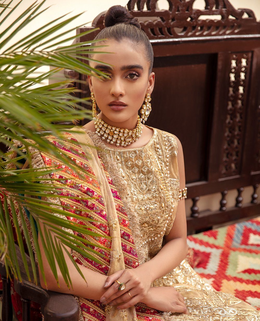 Desi Posh Wedding Collection